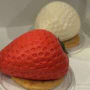 ヒメ日記 2025/09/17 13:57 投稿 はるか 出会い系人妻ネットワーク札幌駅～大通り・すすきの編