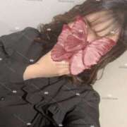 ヒメ日記 2025/12/18 19:19 投稿 まい でりどす