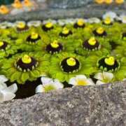 ヒメ日記 2026/03/04 20:45 投稿 まい でりどす