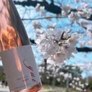 まい すべりこみ🌸 でりどす