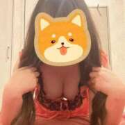 ヒメ日記 2025/08/25 00:13 投稿 椿　うた しこたま奥様 札幌店