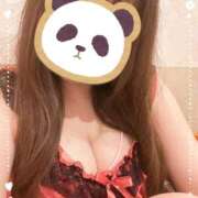 ヒメ日記 2025/08/26 00:05 投稿 椿　うた しこたま奥様 札幌店