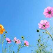 ヒメ日記 2025/09/12 19:55 投稿 天音【あまね】 人妻日和(久喜)