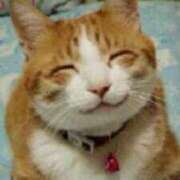 ヒメ日記 2025/09/27 21:13 投稿 天音【あまね】 人妻日和(久喜)