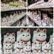 ヒメ日記 2025/09/29 13:50 投稿 天音【あまね】 人妻日和(久喜)