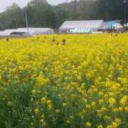 天音【あまね】 週末のありがとう 人妻日和(久喜)