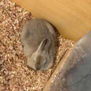 ひまり 目と目あったらずっきゅん 99 Memories(ナインティナインメモリーズ)