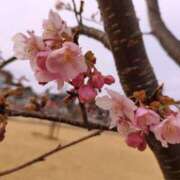 ヒメ日記 2026/02/22 06:55 投稿 みな★ 恵里亜(エリア)