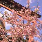 ヒメ日記 2026/02/25 07:00 投稿 みな★ 恵里亜(エリア)