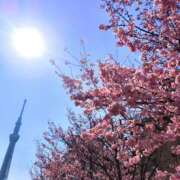 ヒメ日記 2026/04/15 13:00 投稿 みな★ 恵里亜(エリア)