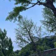 ヒメ日記 2026/05/01 04:42 投稿 NHるり サマンサ(和歌山)