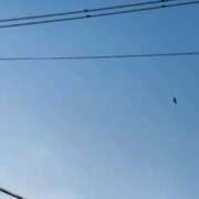 ヒメ日記 2026/05/02 05:31 投稿 NHるり サマンサ(和歌山)
