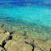 うる ラストまで空き枠 アネックスジャパン