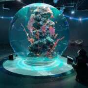 ヒメ日記 2025/11/24 03:01 投稿 しもん☆全身びちゃびちゃ確定♡ じゃむじゃむ