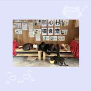 ヒメ日記 2026/08/13 15:15 投稿 Eureka 葛城　ゆき Eureka！EGOIST～エゴイスト～-美とエロスの饗宴