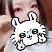 ヒメ日記 2025/09/26 13:54 投稿 ふじこ チューリップ福井本館