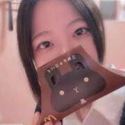 ヒメ日記 2025/10/17 09:20 投稿 ふじこ チューリップ福井本館