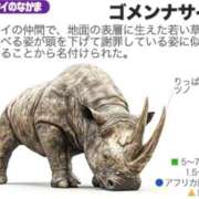 ヒメ日記 2025/10/21 22:14 投稿 ふじこ チューリップ福井本館