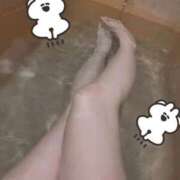 ヒメ日記 2025/11/27 09:26 投稿 ふじこ チューリップ福井本館