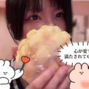 ヒメ日記 2025/11/27 14:08 投稿 ふじこ チューリップ福井本館