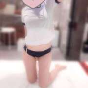 ヒメ日記 2025/11/28 09:30 投稿 ふじこ チューリップ福井本館