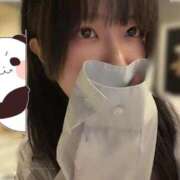 ヒメ日記 2025/11/28 12:01 投稿 ふじこ チューリップ福井本館