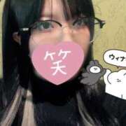 ヒメ日記 2025/12/09 18:50 投稿 ふじこ チューリップ福井本館