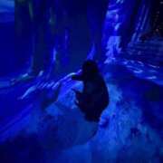 ヒメ日記 2026/03/29 23:06 投稿 しおん 制服これくしょん