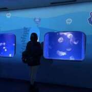 しおん 今日も出勤！ 制服これくしょん