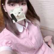 ヒメ日記 2026/06/17 09:36 投稿 響香 Wonder7 (ワンダー7)