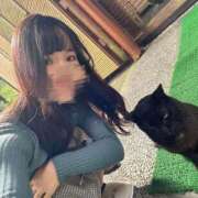 ヒメ日記 2025/08/19 19:21 投稿 せな 新感覚恋活ソープもしも彼女が○○だったら・・・福岡中州本店