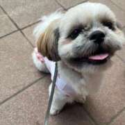 ヒメ日記 2025/09/06 17:14 投稿 みずき【スベフワの美巨乳！】 ソープランド看護学院ディエックス