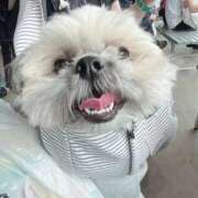 ヒメ日記 2025/09/09 15:58 投稿 みずき【スベフワの美巨乳！】 ソープランド看護学院ディエックス