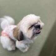 ヒメ日記 2025/09/25 22:38 投稿 みずき【スベフワの美巨乳！】 ソープランド看護学院ディエックス