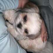 ヒメ日記 2025/09/26 20:58 投稿 みずき【スベフワの美巨乳！】 ソープランド看護学院ディエックス