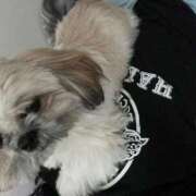 ヒメ日記 2025/09/27 02:34 投稿 みずき【スベフワの美巨乳！】 ソープランド看護学院ディエックス