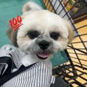 ヒメ日記 2025/09/30 17:58 投稿 みずき【スベフワの美巨乳！】 ソープランド看護学院ディエックス