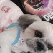 ヒメ日記 2025/10/05 17:18 投稿 みずき【スベフワの美巨乳！】 ソープランド看護学院ディエックス