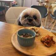 ヒメ日記 2025/10/20 17:49 投稿 みずき【スベフワの美巨乳！】 ソープランド看護学院ディエックス