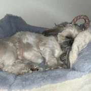 ヒメ日記 2025/11/02 21:38 投稿 みずき【スベフワの美巨乳！】 ソープランド看護学院ディエックス