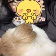 ヒメ日記 2025/11/07 02:18 投稿 みずき【スベフワの美巨乳！】 ソープランド看護学院ディエックス