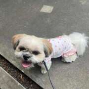 ヒメ日記 2025/11/12 14:48 投稿 みずき【スベフワの美巨乳！】 ソープランド看護学院ディエックス