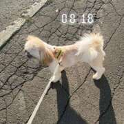 ヒメ日記 2025/11/16 09:48 投稿 みずき【スベフワの美巨乳！】 ソープランド看護学院ディエックス