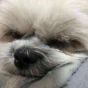 ヒメ日記 2025/12/09 02:58 投稿 みずき【スベフワの美巨乳！】 ソープランド看護学院ディエックス