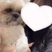 ヒメ日記 2025/12/19 03:28 投稿 みずき【スベフワの美巨乳！】 ソープランド看護学院ディエックス