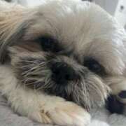 ヒメ日記 2026/01/25 07:25 投稿 みずき【スベフワの美巨乳！】 ソープランド看護学院ディエックス