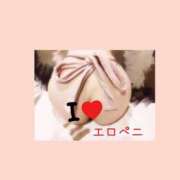 ヒメ日記 2026/01/19 19:12 投稿 白石 すず 30代40代50代と遊ぶなら博多人妻専科24時