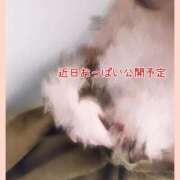 ヒメ日記 2026/03/02 15:15 投稿 白石 すず 30代40代50代と遊ぶなら博多人妻専科24時