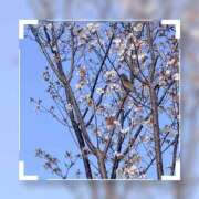 ヒメ日記 2026/03/28 15:28 投稿 ゆきの 至福の密着エステ&禁断のM性感 Luxeaz