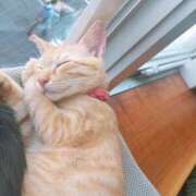 あかね 出勤してます😊 ノーハンドの人妻　上野店